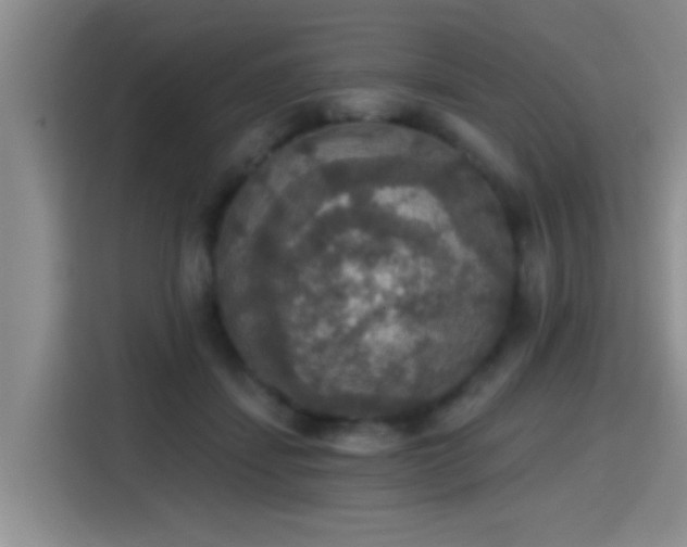 X0000115400459200911101516