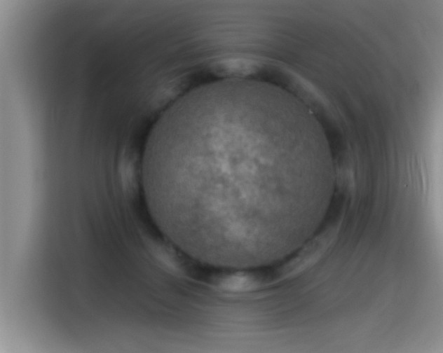 X0000115400460200911101516