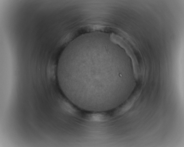 X0000115400462200911101516