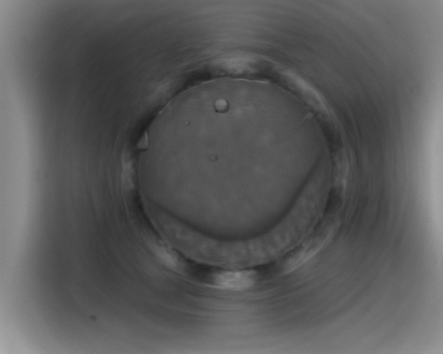 X0000115400465200911101516