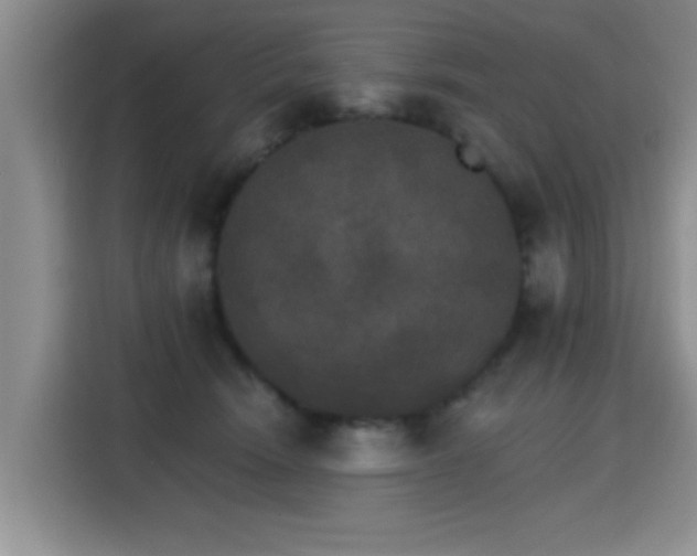 X0000115400466200911101516