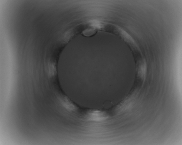 X0000115400467200911101516