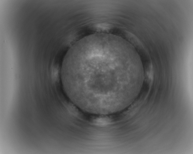 X0000115400468200911101516