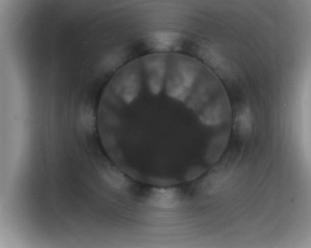 X0000115400469200911101516