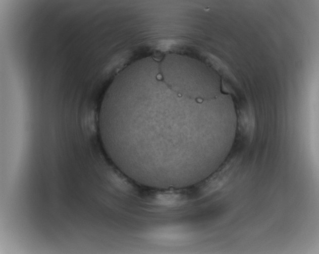 X0000115400470200911101516