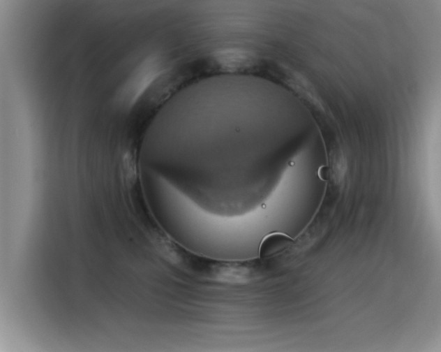 X0000115400471200911101516