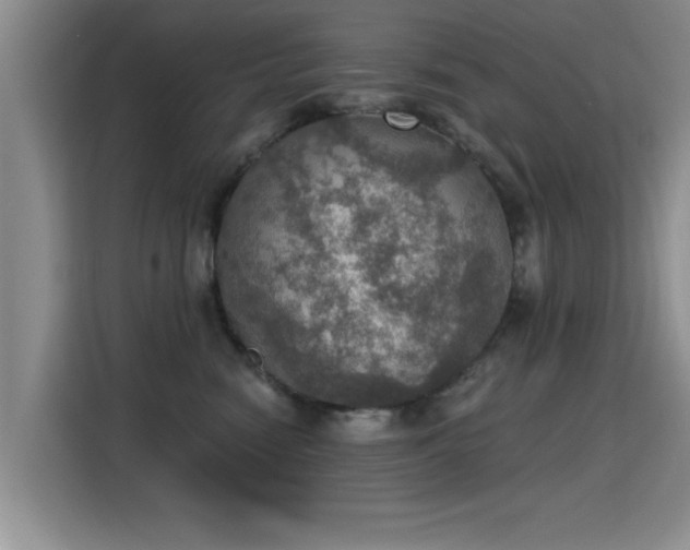 X0000115400474200911101516