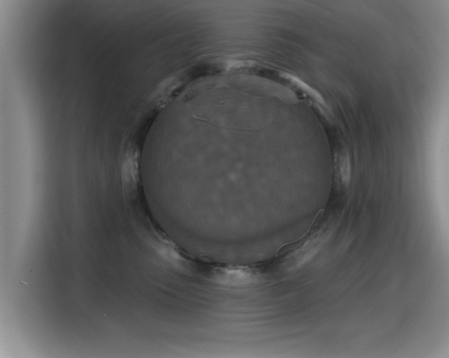 X0000115400475200911101516