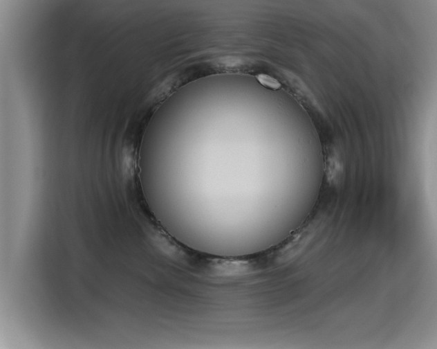 X0000115400476200911101516