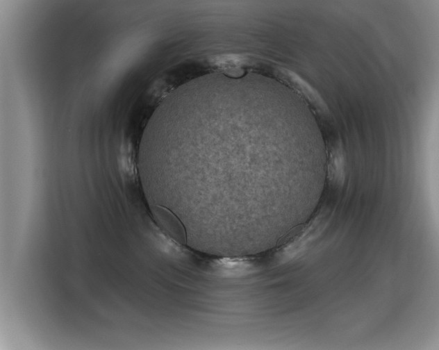 X0000115400477200911101516