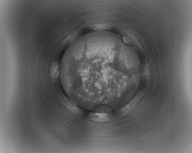 X0000115400478200911101516