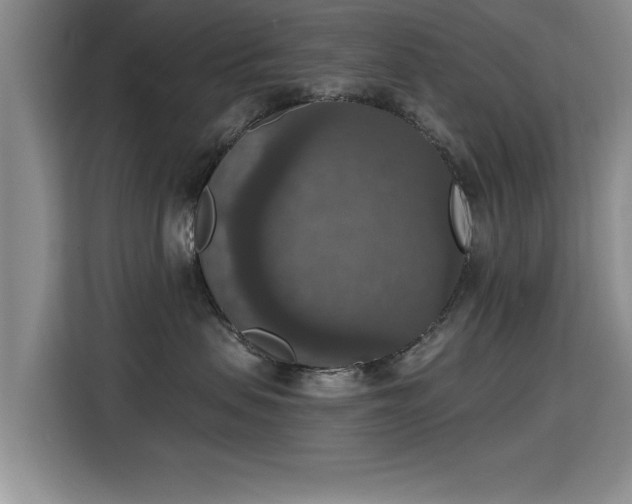 X0000115400479200911101516