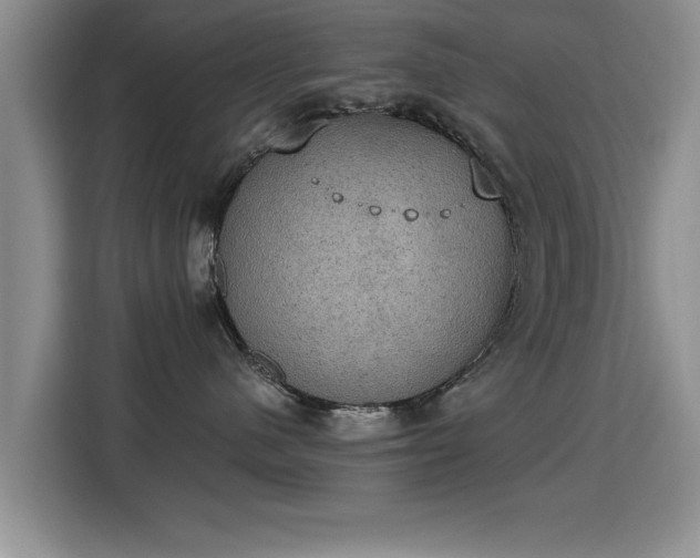 X0000115400480200911101516