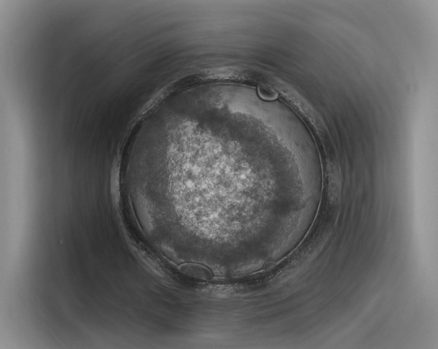 X0000115400482200911101515