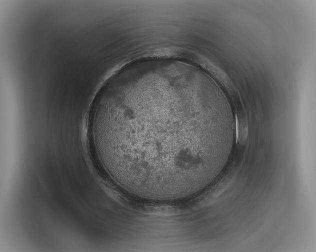 X0000115400483200911101515