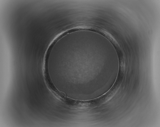 X0000115400484200911101515