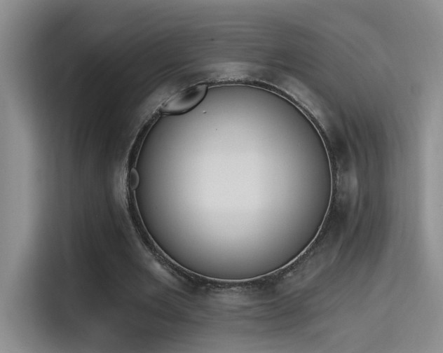 X0000115400485200911101515