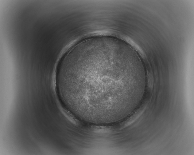 X0000115400486200911101515