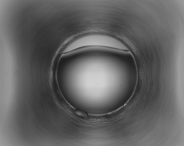 X0000115400488200911101515