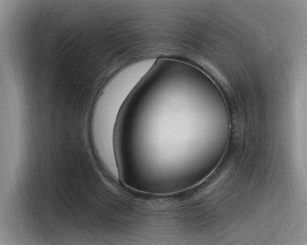 X0000115400489200911101515