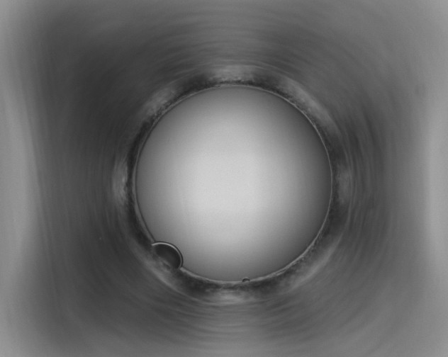 X0000115400490200911101515