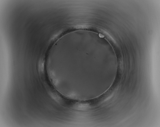 X0000115400491200911101515