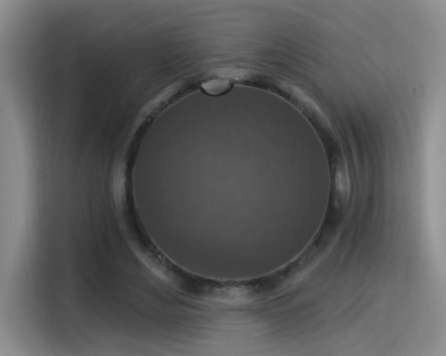 X0000115400492200911101515