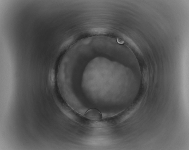 X0000115400494200911101515