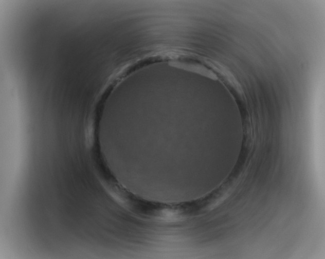 X0000115400496200911101515