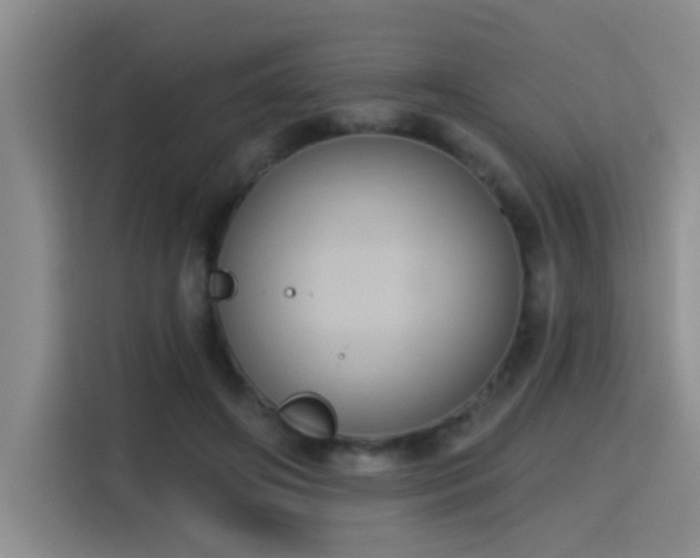 X0000115400498200911101515