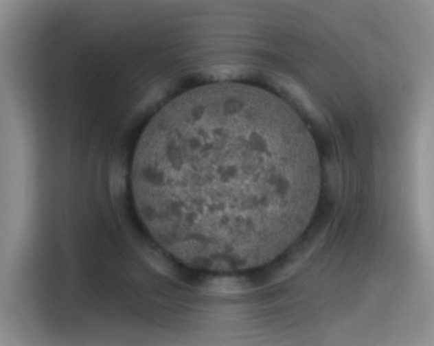 X0000115400499200911101515