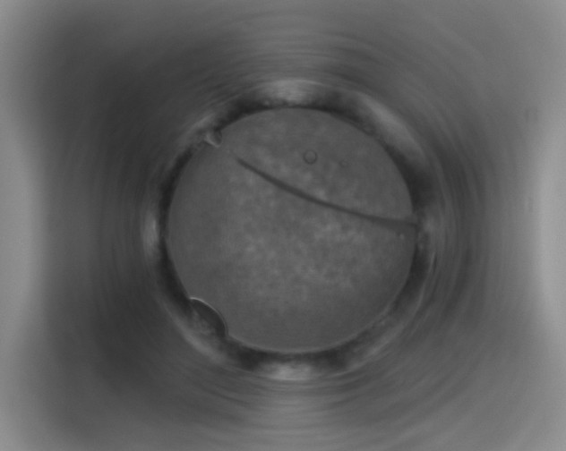 X0000115400500200911101515