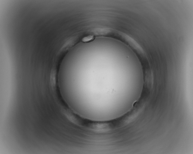 X0000115400501200911101515