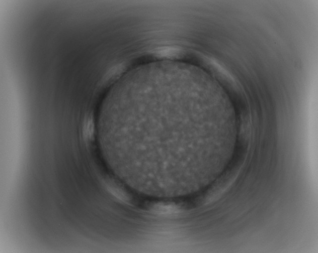 X0000115400502200911101515