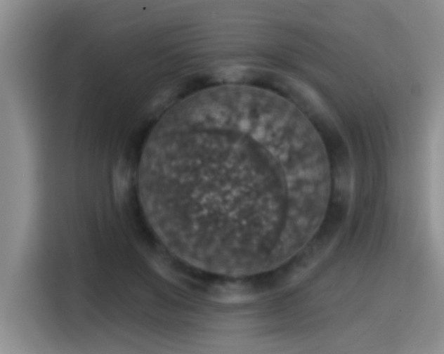 X0000115400503200911101515