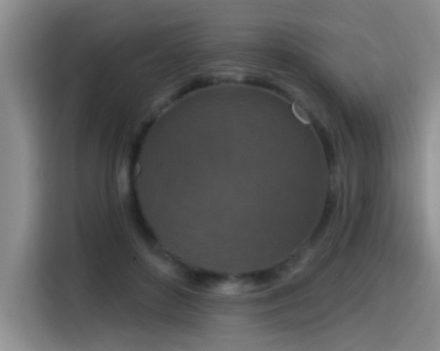 X0000115400504200911101515