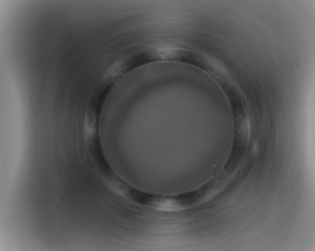 X0000115400507200911101515