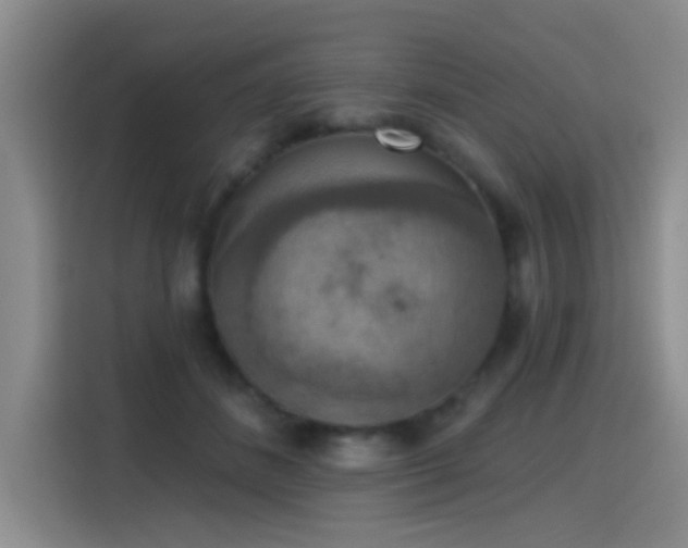 X0000115400508200911101515