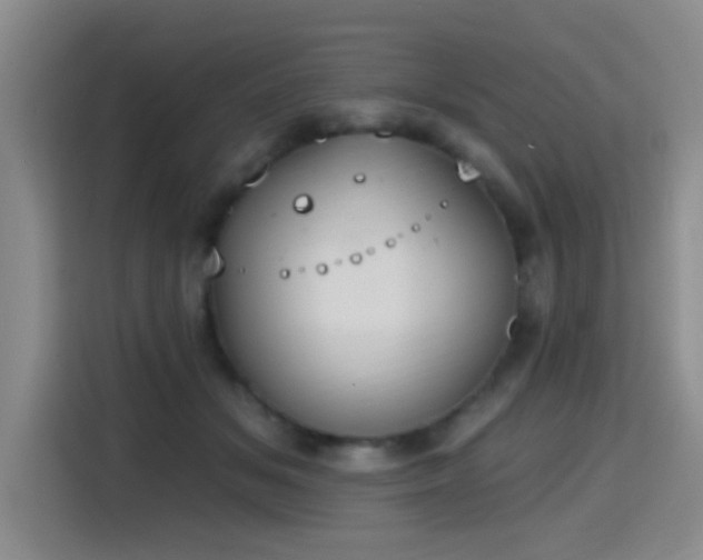 X0000115400509200911101515