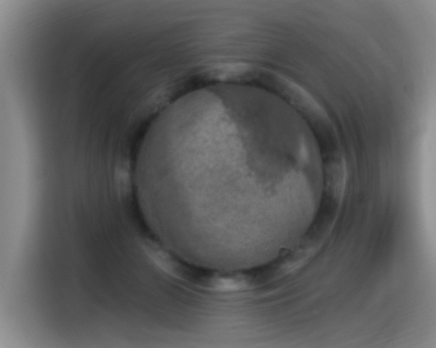 X0000115400510200911101515