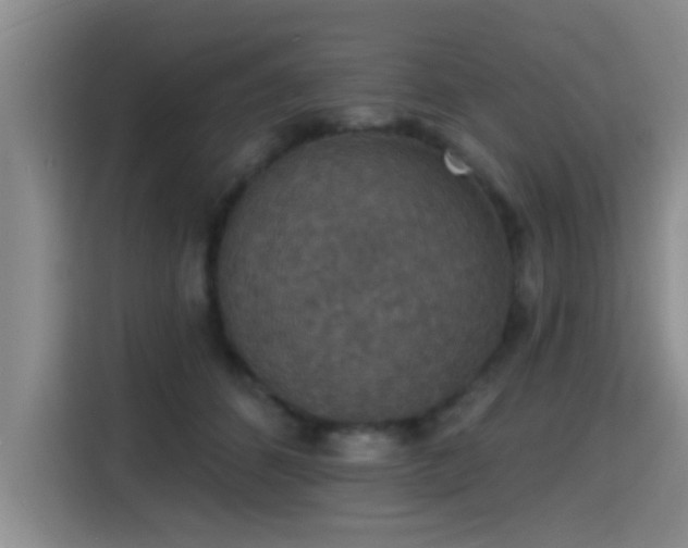 X0000115400512200911101515