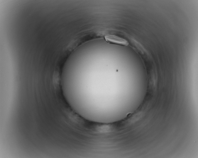 X0000115400513200911101515