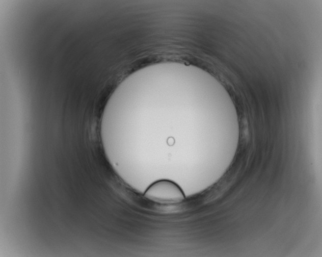 X0000115400514200911101515