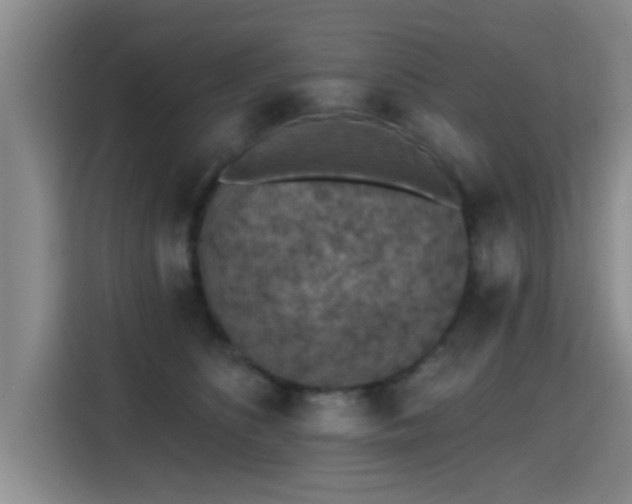 X0000115400516200911101515
