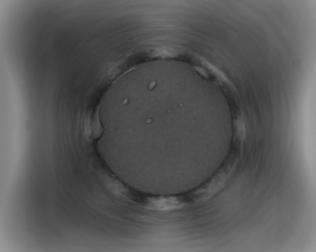 X0000115400517200911101515