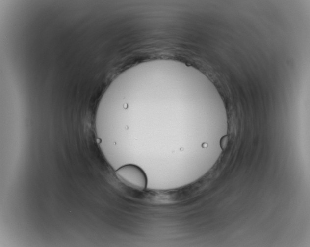 X0000115400518200911101515