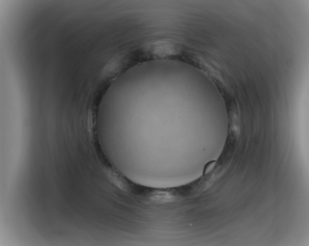 X0000115400519200911101515