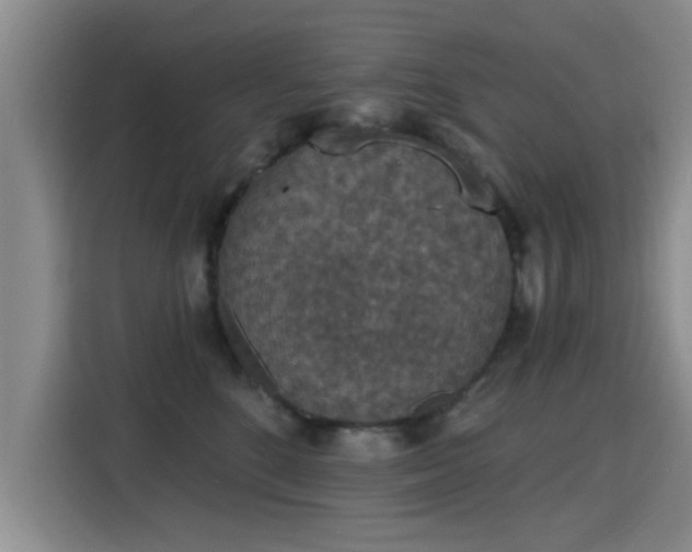 X0000115400520200911101515