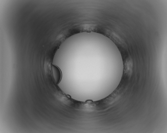 X0000115400522200911101515