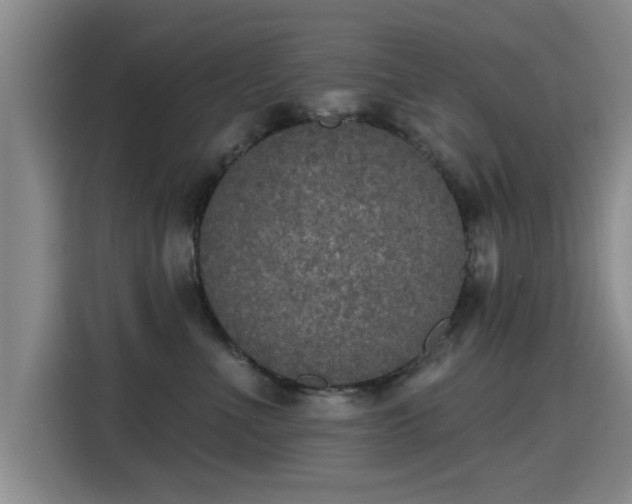 X0000115400523200911101515